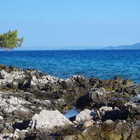 Dijana * Trogir