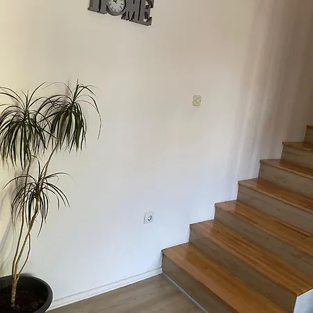 Apartament Dijana *